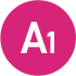 A1