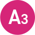 A3