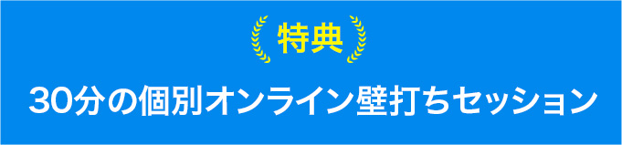 特典30分の個別オンライン壁打ちセッション