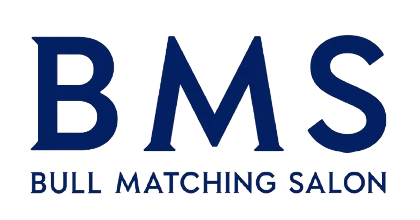 BMS Business Matching Service